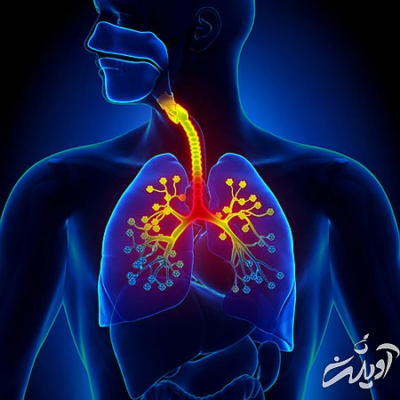 سلامت ریه, بیماریهای ریه, علائم بیماریهای ریه
